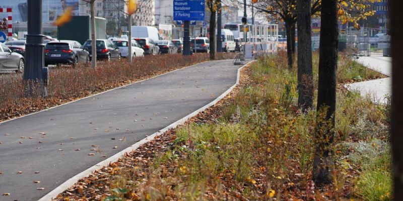 Zielona Marszałkowska - chodnik i droga rowerowa gotowe, drzewa posadzone