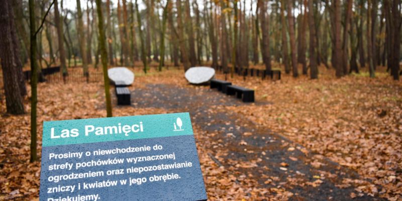 Las Pamięci na warszawskich nekropoliach – czy Warszawa pójdzie śladem Poznania?