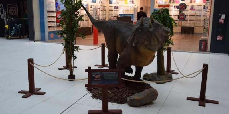 Dinozaury w Galerii Północnej
