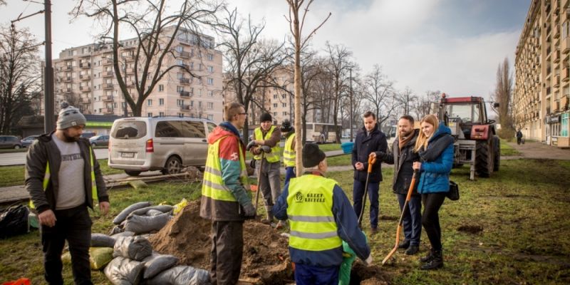 Warszawiacy wskazali, pora zasadzić  – 1200 nowych drzew przy stołecznych ulicach