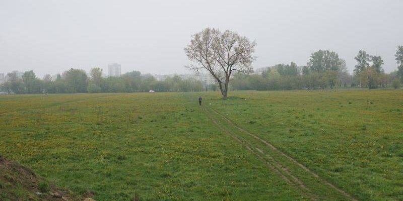 Tysiące mieszkań na polu dawnego PGR. Zniknie "kultowe" drzewo