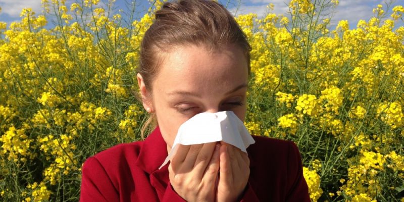 Objawy alergii na pyłki – sprawdź czy jesteś na nie uczulony!