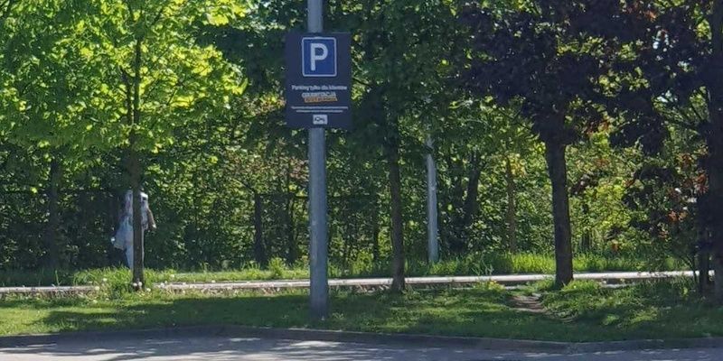 Kobieta-drzewo zatrzymana. Grozi jej do 5 lat pozbawienia wolności