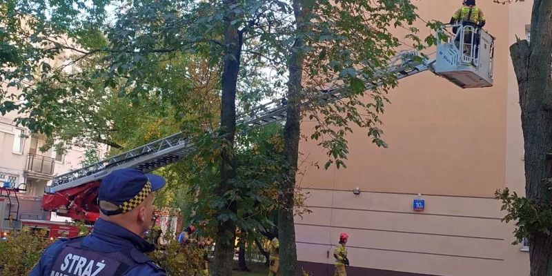 Niebezpieczny konar mógł runąć na budynek na Pradze Południe