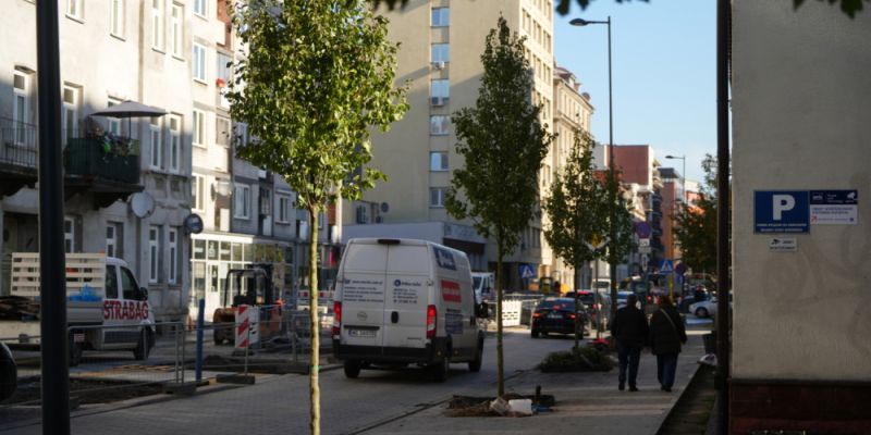 Zielona metamorfoza ulicy Okrzei: Na Praskim odcinku rozpoczęły się pierwsze nasadzenia drzew i krzewów