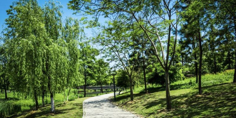 Mieszkańcy Grochowa chcą nowego parku przy torach. Powstał pomysł Grochowskiego Parku Linearnego