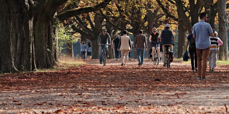 Park Siennicki zyska nowe chodniki