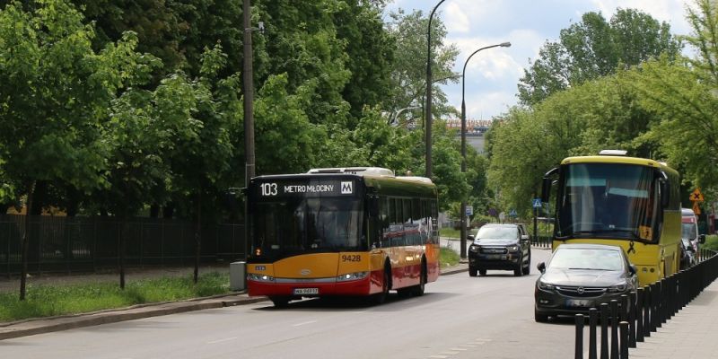 Autobusy linii 103 wracają na swoją trasę