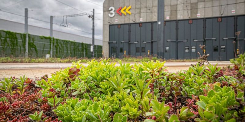 Ekologiczna zajezdnia tramwajowa na Annopolu: Nowoczesność w harmonii z przyrodą