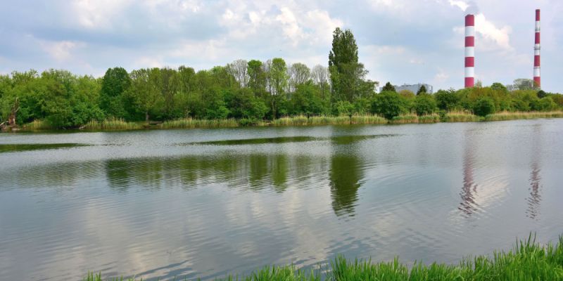 Sanepid ocenił stan wody w Jeziorku Czerniakowskim. Co stwierdzono?