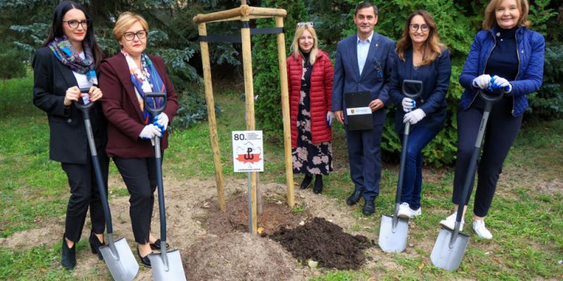 Posadzili 80 klonów z okazji 80. rocznicy Powstania Warszawskiego