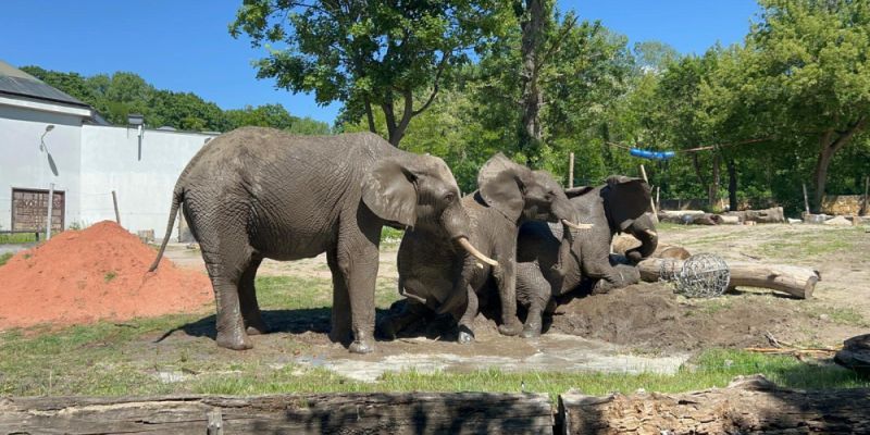 Słynny brytyjski dziennik odkrywa uroki Warszawy
