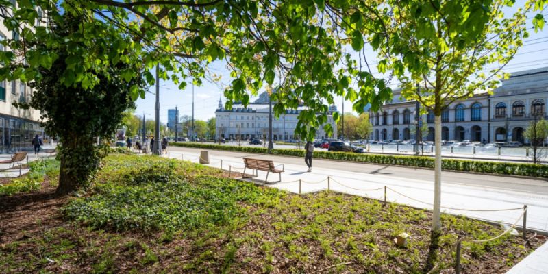 Zielona metamorfoza Placu Bankowego: Zakończenie prac przy Błękitnym Wieżowcu