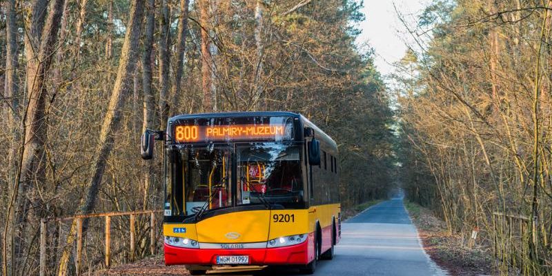 Wielki powrót linii autobusowej numer 800 do Palmir