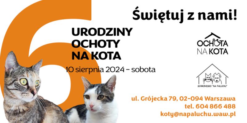 Ochota na Kota świętuje 6. urodziny