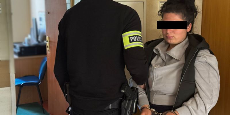 Policyjna Akcja „Hostel”: Zatrzymano siedem osób, w tym pięciu nielegalnych imigrantów