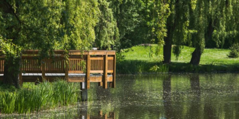 Zostań uczestnikiem projektu miejscowego planu zagospodarowania przestrzennego – Park Oruński i dolina Potoku Oruńskiego