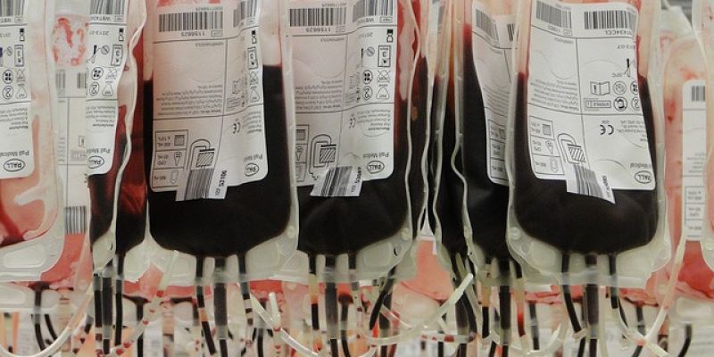 Wielki finał akcji "MOTOSERCE-krew darem życia"