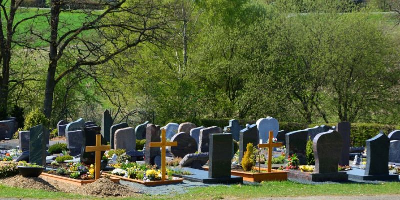 Zmiany w ruchu przy cmentarzach w Gdyni. Jak dojechać w okresie Wszystkich Świętych?