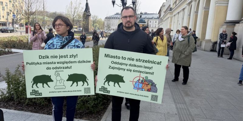 Protest w obronie dzików w Warszawie. „Stop rzezi dzików”
