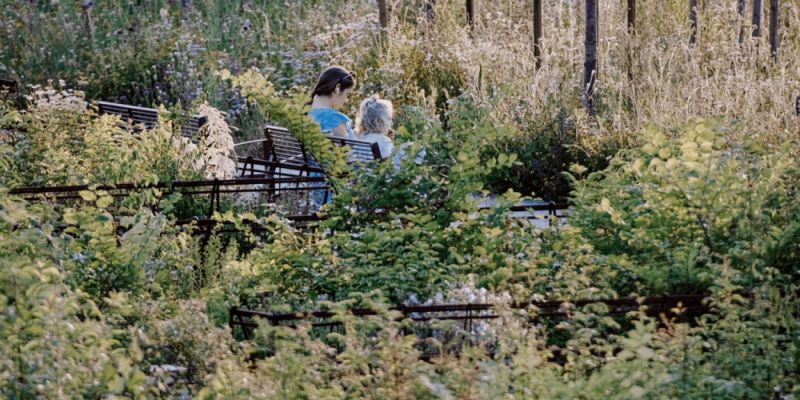 Zarząd Zieleni Warszawy świętuje 10 lat działalności