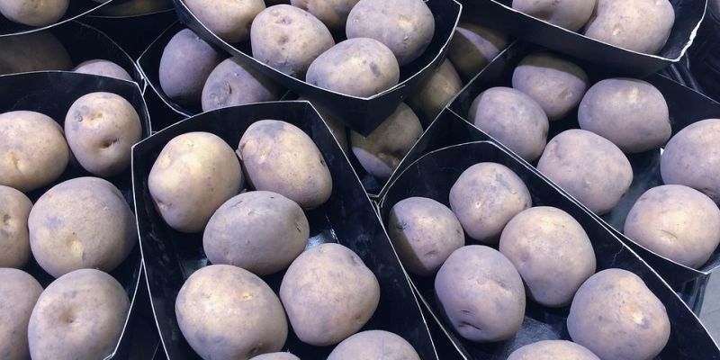Młode ziemniaki na pięć sposobów