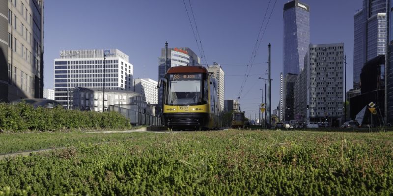 Duże utrudnienia na ważnym torowisku tramwajowym