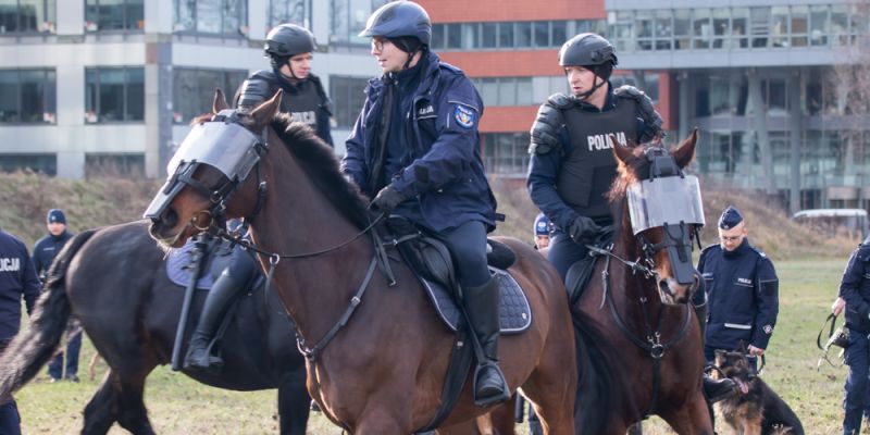 Atestacja konia służbowego na Komendzie Stołecznej Policji