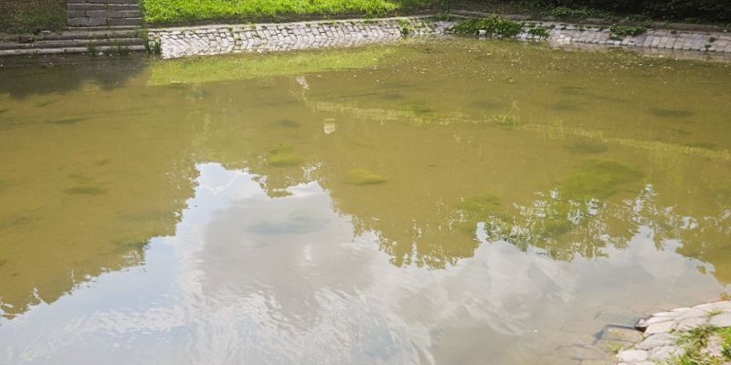 Zniszczone siedlisko płazów w Parku Kazimierzowskim. Zarząd Zieleni poszukuje sprawców