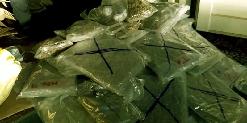 Policja przejęła 50 kg narkotyków