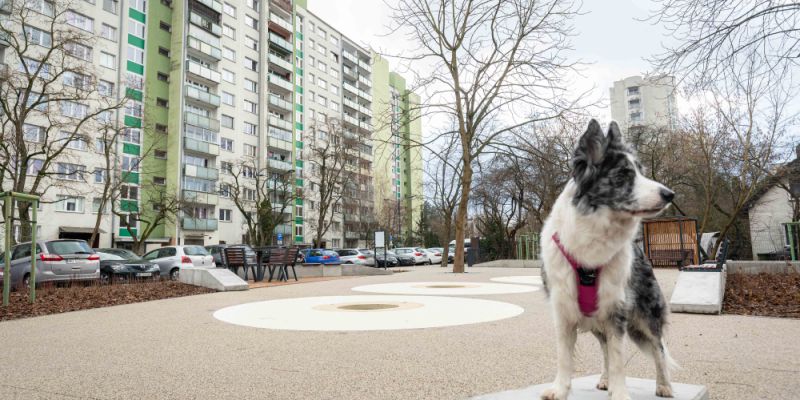 Nowe serce rekreacji na Chomiczówce: Skwer przy Bogusławskiego zmienia oblicze dzielnicy
