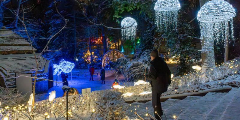 Ostatnie dni świetlnej magii w Ogrodzie Botanicznym UW