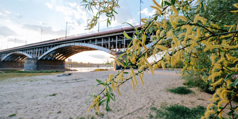 Dramat na plaży Poniatówka. Wyłowiono ciało mężczyzny z Wisły