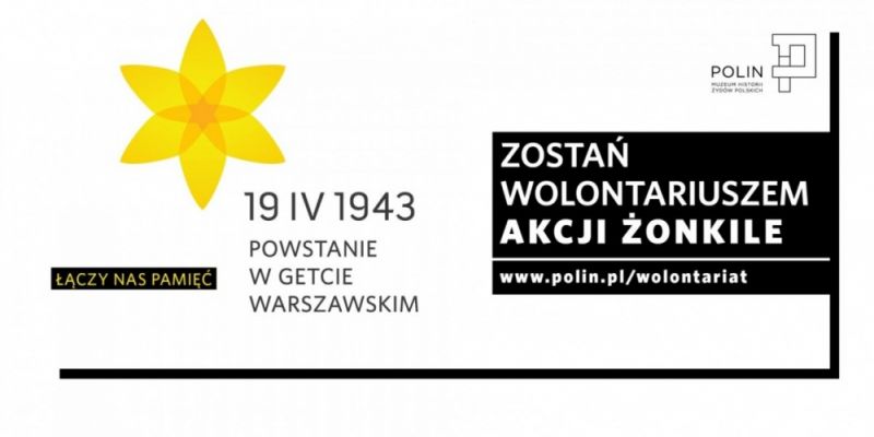 Muzeum POLIN poszukuje wolontariuszy akcji  Żonkile