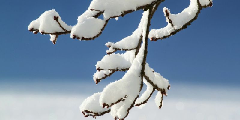 Prognoza pogody dla Warszawy na kolejne dni