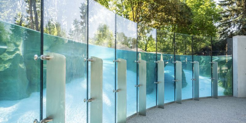 Pingwiny w warszawskim ZOO mają nowy wybieg