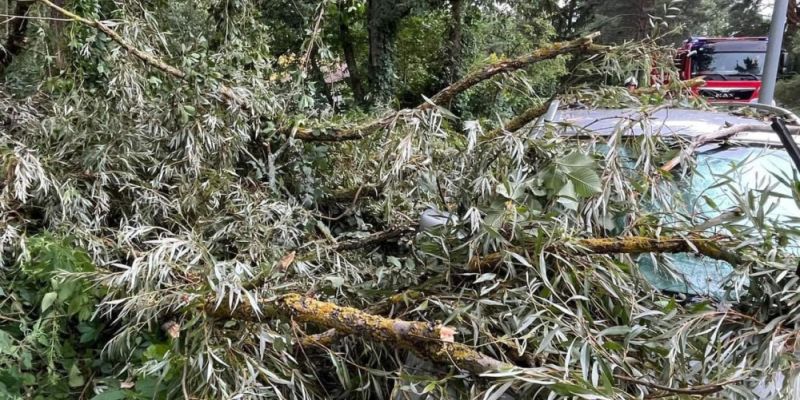 Nawałnice przeszły przez Mazowsze. Bilans interwencji