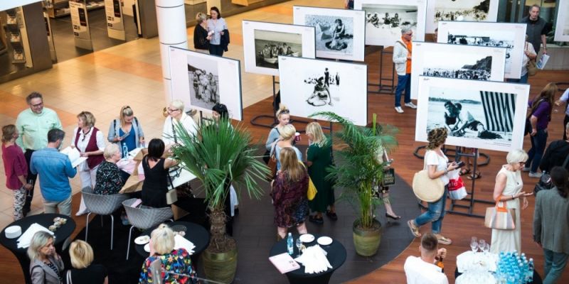 Wystawy Muzeum Miasta Gdyni i Galerii Klif dostępne online!
