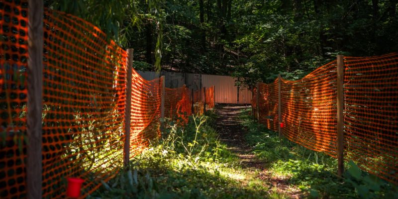 Postępy prac w Parku Arkadia: Czasowe zamknięcia alejek i nowe trasy spacerowe