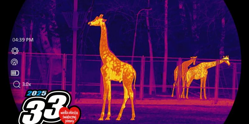 Warszawskie ZOO gra z WOŚP. Można wylicytować spotkanie z żyrafą