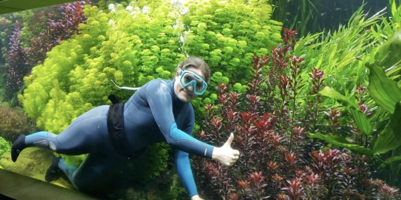 Zajrzyj pod wodę z nurkiem. Wyjątkowe pokazy w warszawskim ZOO