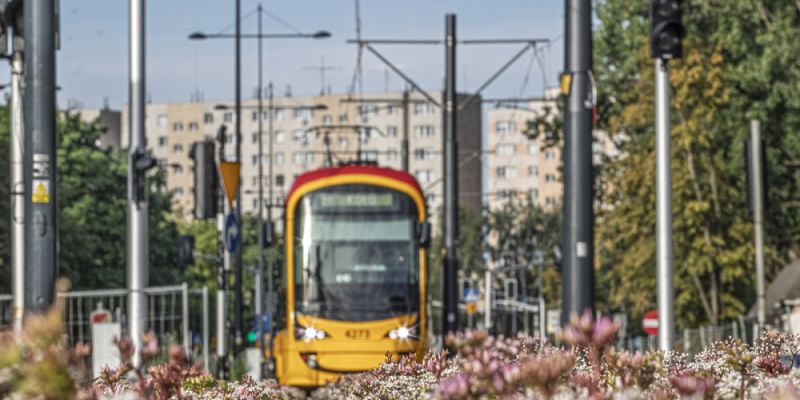 Nowa trasa tramwajowa połączy Wolę z Ochotą. Rusza przetarg na projekt
