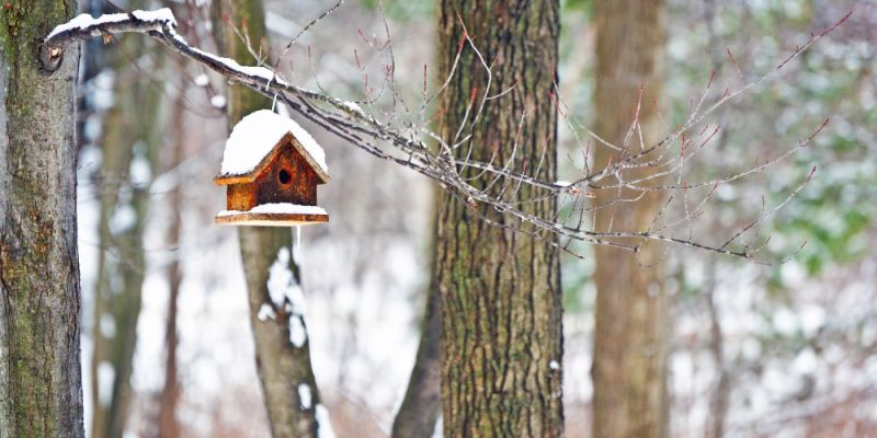 Prognoza pogody na nadchodzące dni