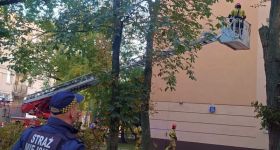 Niebezpieczny konar mógł runąć na budynek na Pradze Południe