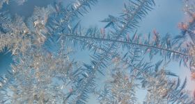 Zima nie odpuszcza - śnieg, gołoledź i silny mróz w Warszawie