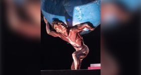 „Body Worlds” wraca do Warszawy. Niezwykła wystawa o ludzkim ciele już na Pradze-Południe