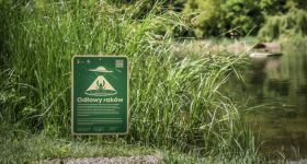 ZZW odławia gatunki inwazyjne z warszawskich stawów