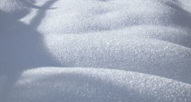 Zimowy tydzień w Warszawie: opady, mgły i spadki temperatur