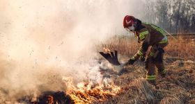 Drastyczny wzrost pożarów traw. Policja przypomina o wysokich karach za wypalanie traw