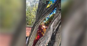 Słynna „Wierzba” wróciła na Żoliborz